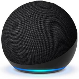 Amazon Echo Dot (newest model)